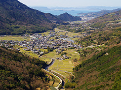 ポスティング業者が無い地域、例えば千葉県の場合