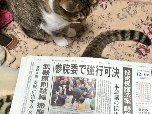 地域集客に強い！新聞折込チラシのメリット・デメリットを徹底解説